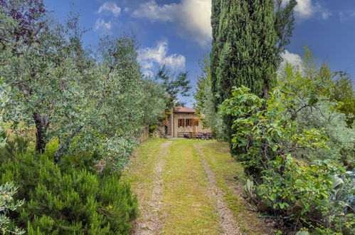 Foto 70 - Casa con 3 camere da letto a Montevarchi con piscina privata e giardino