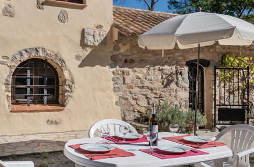 Foto 6 - Casa con 4 camere da letto a Flassans-sur-Issole con piscina privata e terrazza