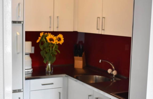 Apartamento de 2 quartos em Saas-Almagell - Foto 16