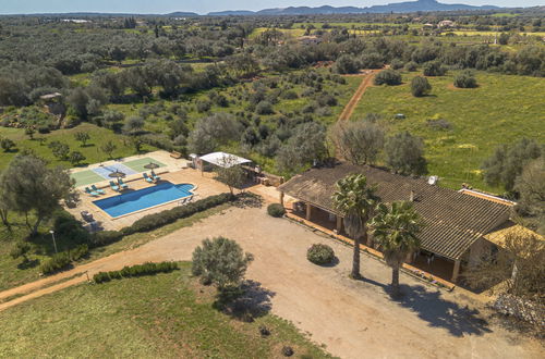 Foto 39 - Casa con 3 camere da letto a Porreres con piscina privata e giardino
