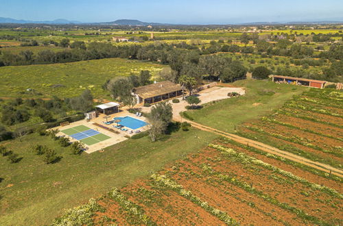 Foto 43 - Casa con 3 camere da letto a Porreres con piscina privata e giardino