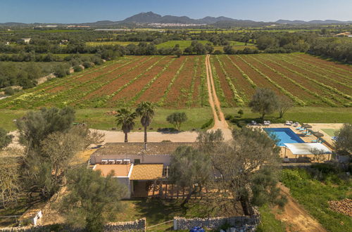 Foto 42 - Casa con 3 camere da letto a Porreres con piscina privata e giardino