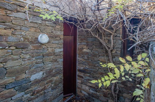 Photo 20 - Maison de 2 chambres à Bormes-les-Mimosas avec jardin et terrasse