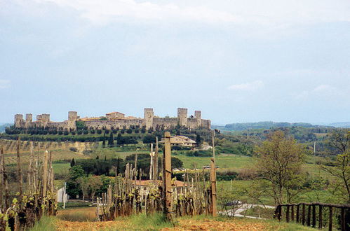 Foto 36 - Apartment mit 1 Schlafzimmer in Monteriggioni mit schwimmbad und garten