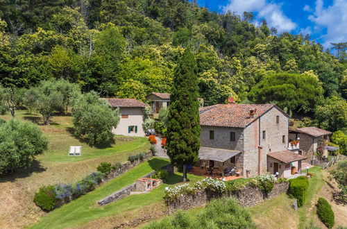 Foto 33 - Appartamento con 2 camere da letto a Pescia con piscina e giardino