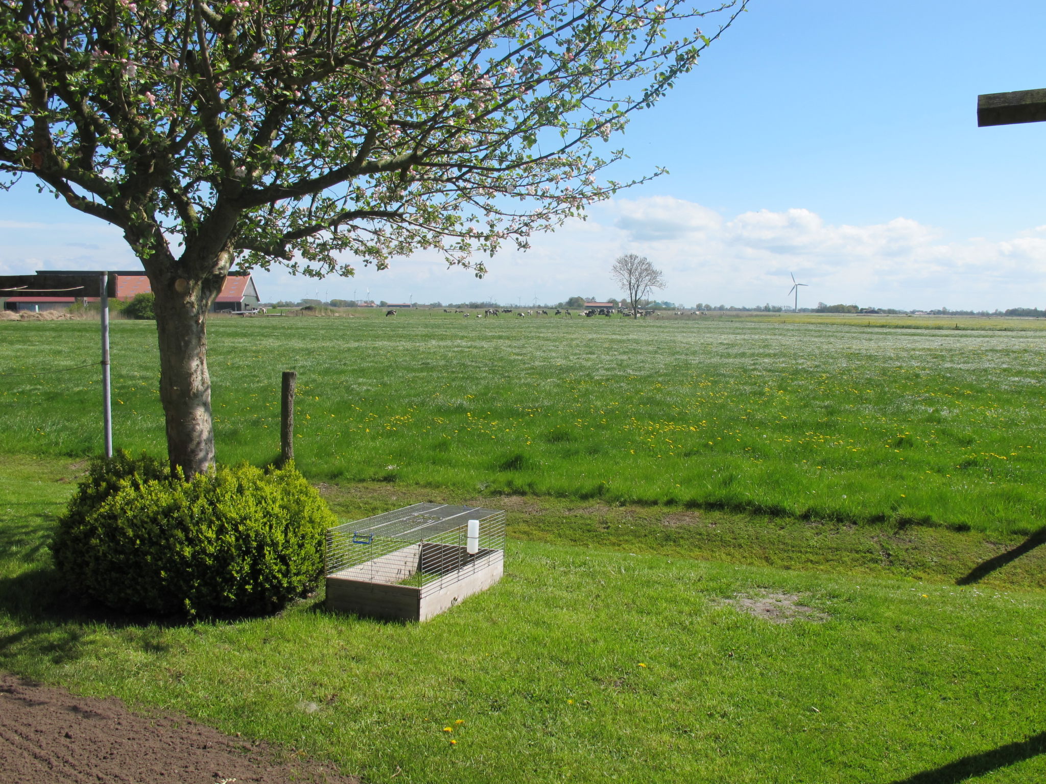 Photo 20 - Appartement de 1 chambre à Wangerland avec jardin et vues à la mer