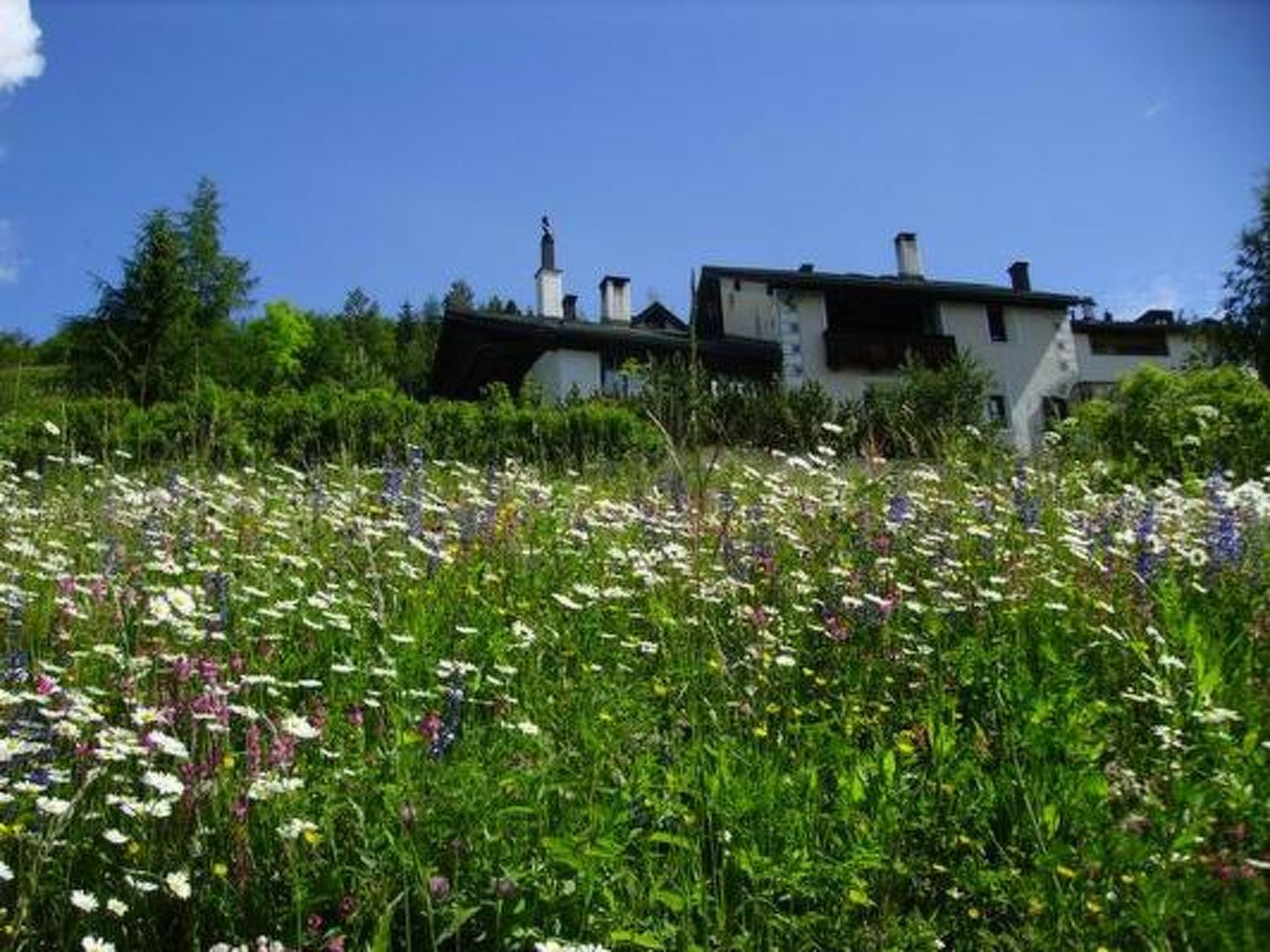 Photo 18 - 1 bedroom Apartment in Scuol with mountain view