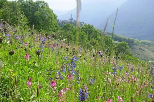 Foto 16 - Appartamento con 1 camera da letto a Scuol