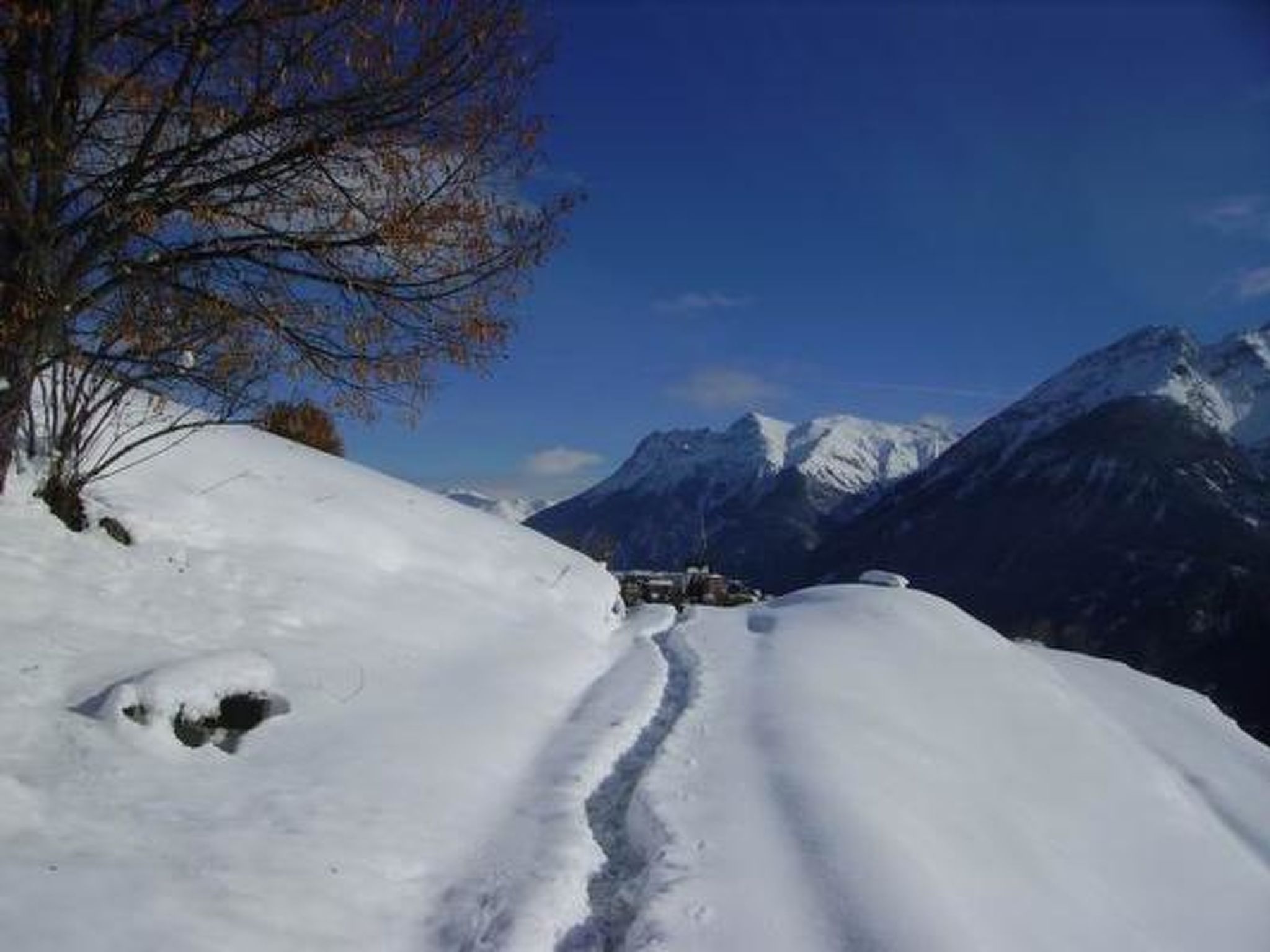 Photo 24 - 1 bedroom Apartment in Scuol with mountain view