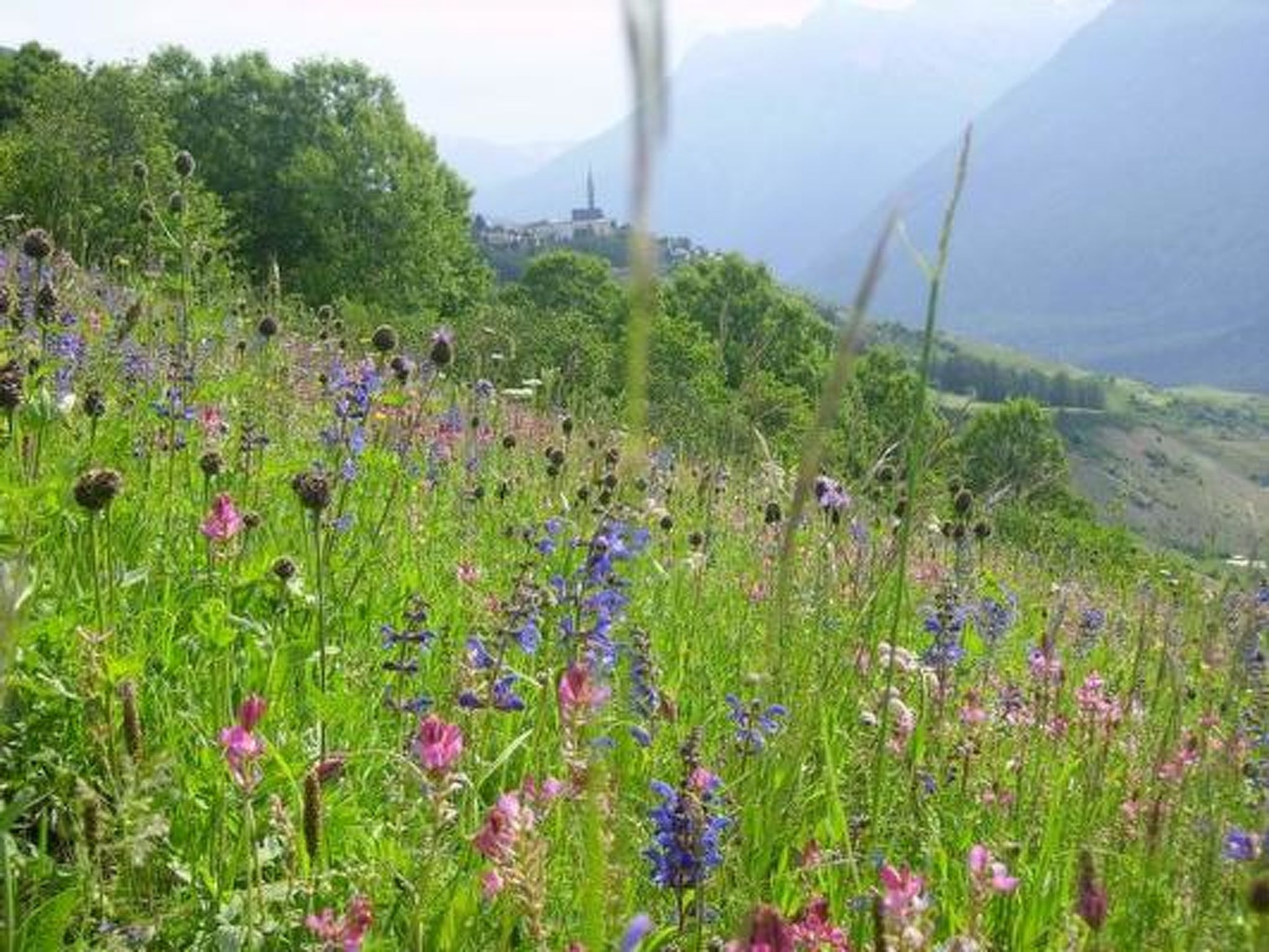 Photo 16 - Appartement de 1 chambre à Scuol avec vues sur la montagne