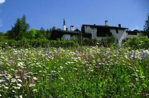 Foto 18 - Appartamento con 1 camera da letto a Scuol