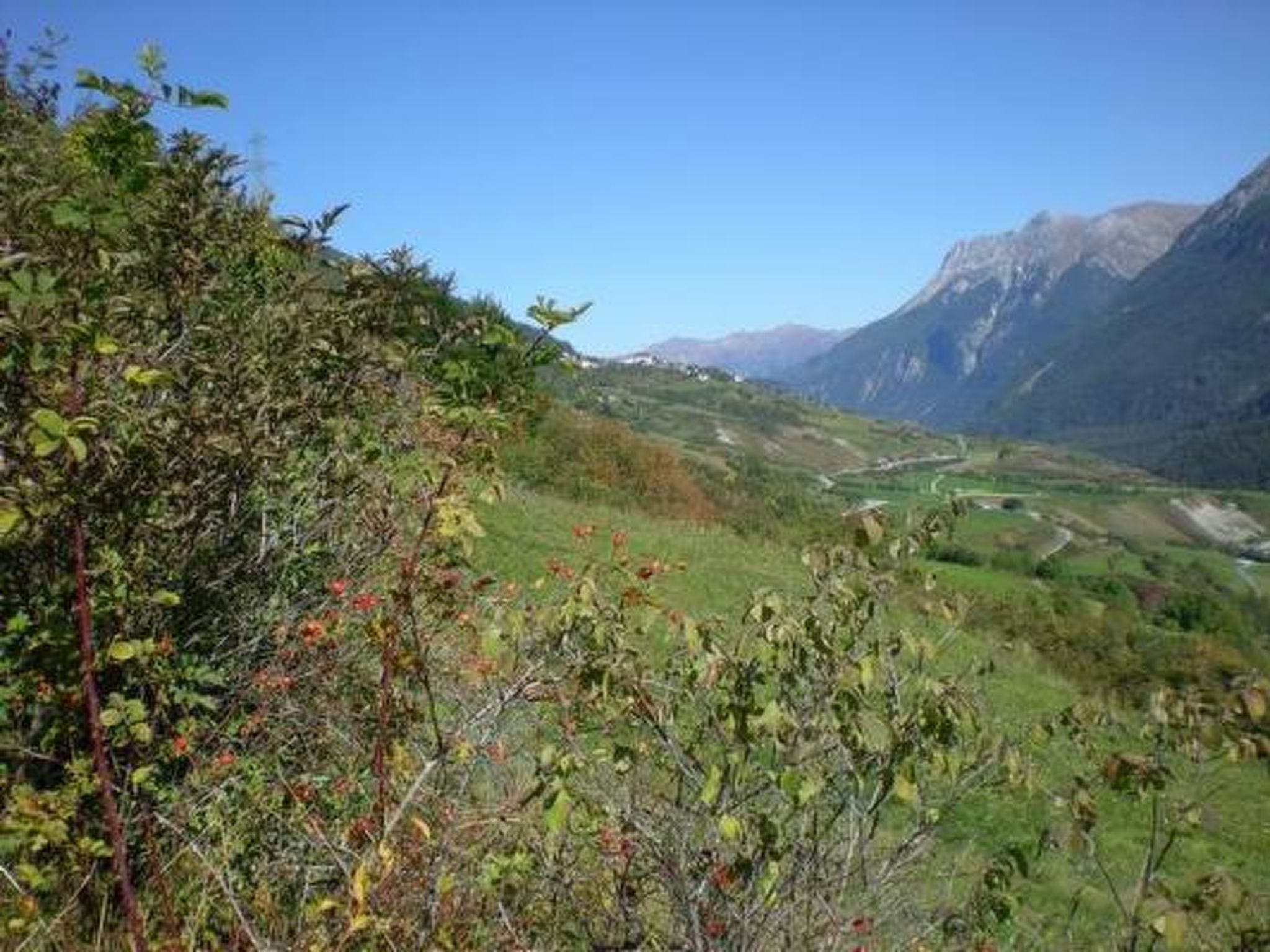 Foto 20 - Apartamento de 1 quarto em Scuol com vista para a montanha