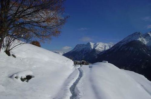 Photo 24 - 1 bedroom Apartment in Scuol