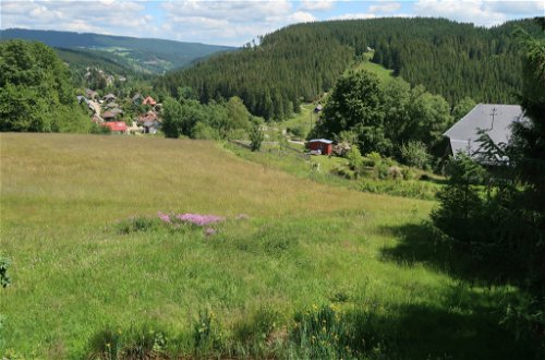 Foto 11 - Apartamento de 2 habitaciones en Feldberg (Schwarzwald) con vistas a la montaña