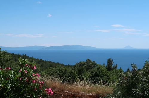 Foto 21 - Appartamento con 3 camere da letto a Labin con piscina e vista mare