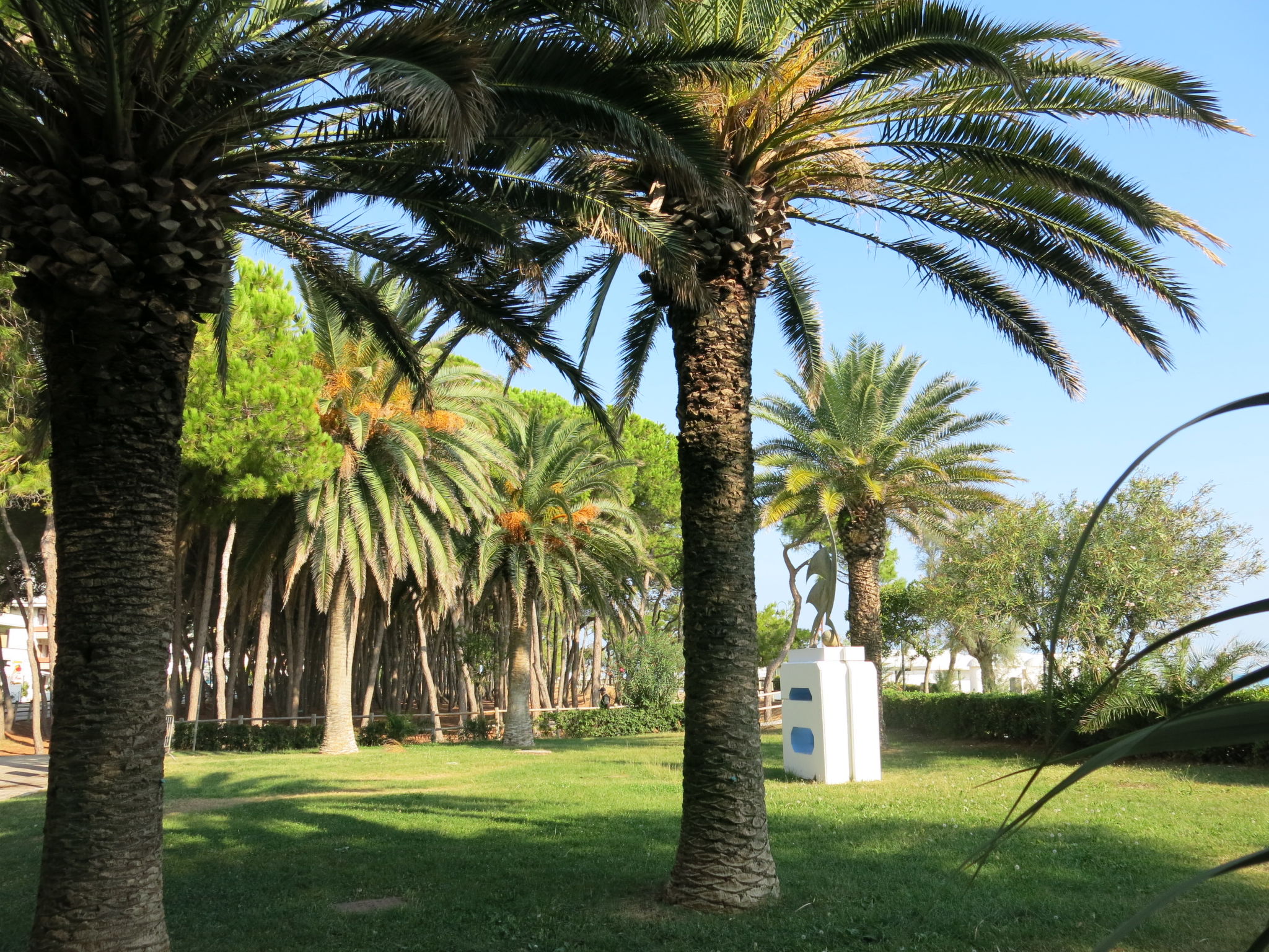 Foto 31 - Casa con 6 camere da letto a Alba Adriatica con giardino e terrazza