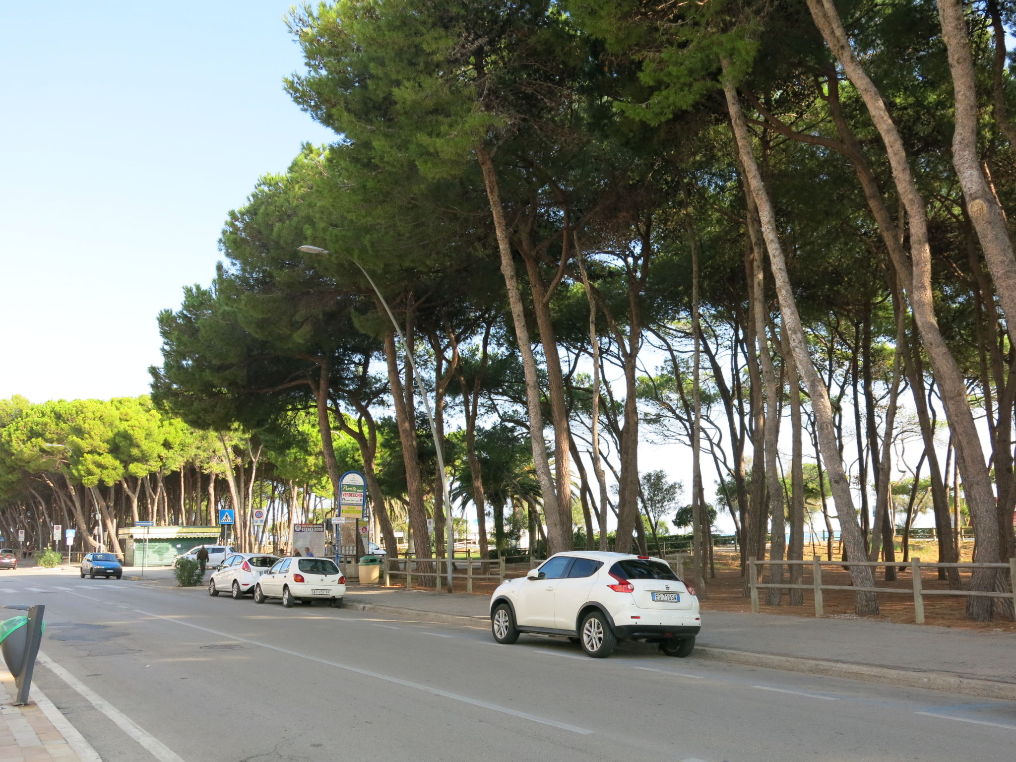 Photo 27 - Maison de 6 chambres à Alba Adriatica avec terrasse et vues à la mer