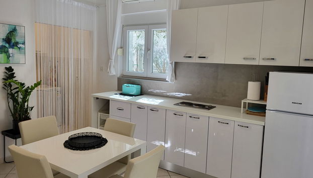 Haus mit 1 Schlafzimmer in Jasenice mit garten und terrasse - Foto 5