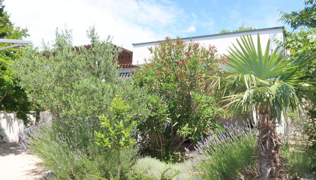 Haus mit 1 Schlafzimmer in Jasenice mit garten und terrasse - Foto 4