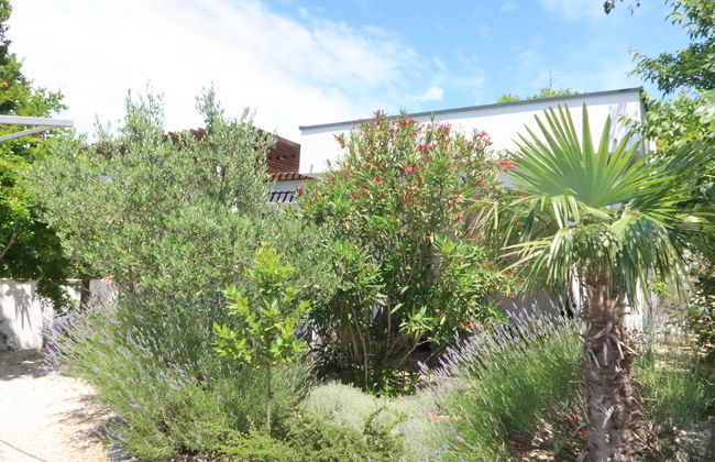 Casa de 1 quarto em Jasenice com jardim e terraço - Foto 4