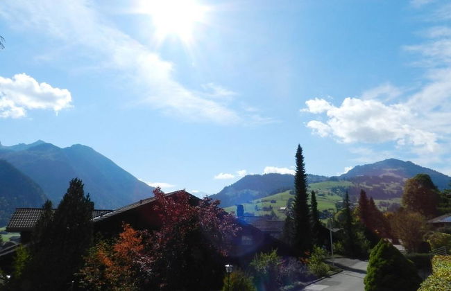 Appartement de 1 chambre à Zweisimmen - Photo 9