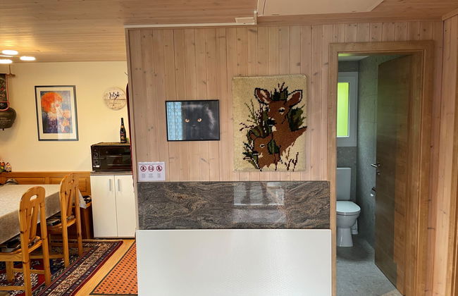 Casa de 3 quartos em Giswil com jardim e terraço - Foto 8