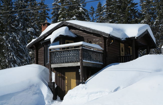 Casa de 3 quartos em Sälen com jardim e terraço - Foto 24