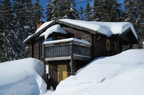 Photo 24 - Maison de 2 chambres à Sälen avec jardin et terrasse