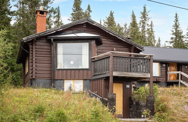 Casa de 3 quartos em Sälen com jardim e terraço - Foto 6