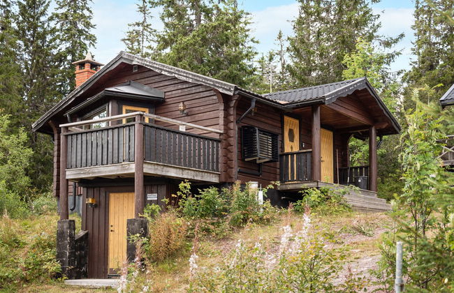 Casa de 3 quartos em Sälen com jardim e terraço - Foto 1
