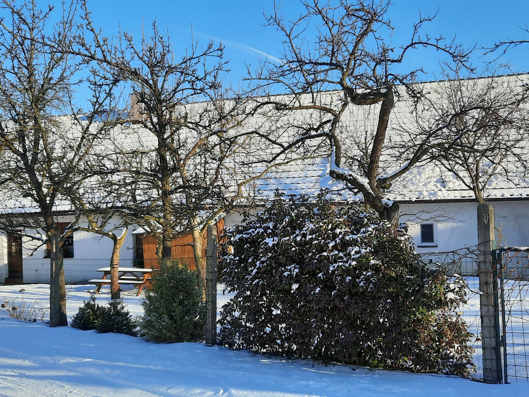 Photo 17 - Maison de 3 chambres à Horní Cerekev avec piscine privée et jardin