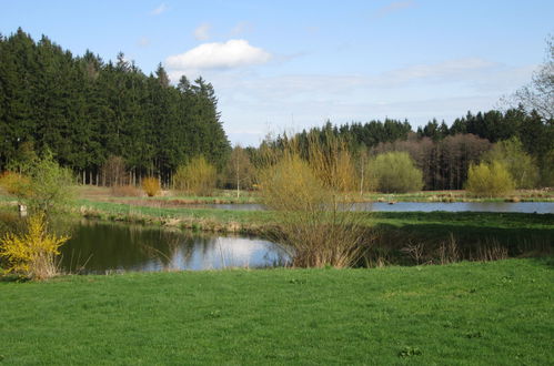 Photo 13 - Maison de 3 chambres à Horní Cerekev avec piscine privée et jardin