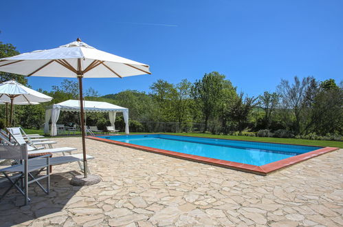 Photo 29 - Appartement de 1 chambre à Casole d'Elsa avec piscine et jardin