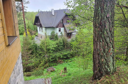 Foto 19 - Casa de 5 quartos em Stará Lesná com jardim e terraço