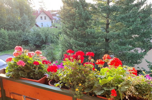 Photo 16 - Maison de 5 chambres à Stará Lesná avec jardin et terrasse