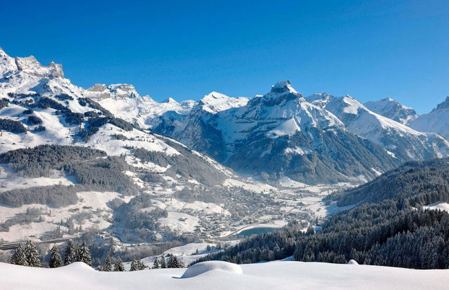 Apartamento de 1 quarto em Engelberg - Foto 12