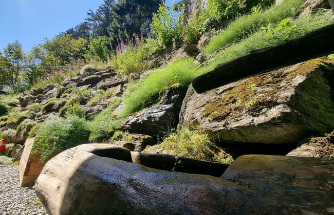 Apart Ladner - Foto 28