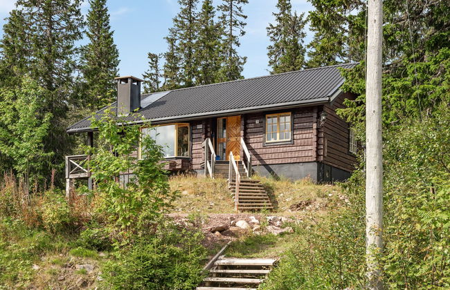 Korpstigen Älgen - Foto 20