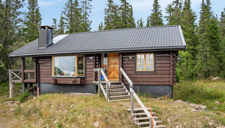 Photo 1 - Maison de 2 chambres à Sälen avec jardin et sauna