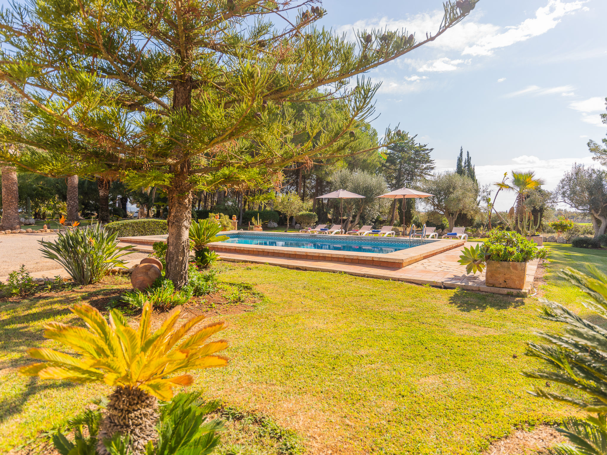 Foto 20 - Casa de 3 quartos em Campos com piscina privada e jardim