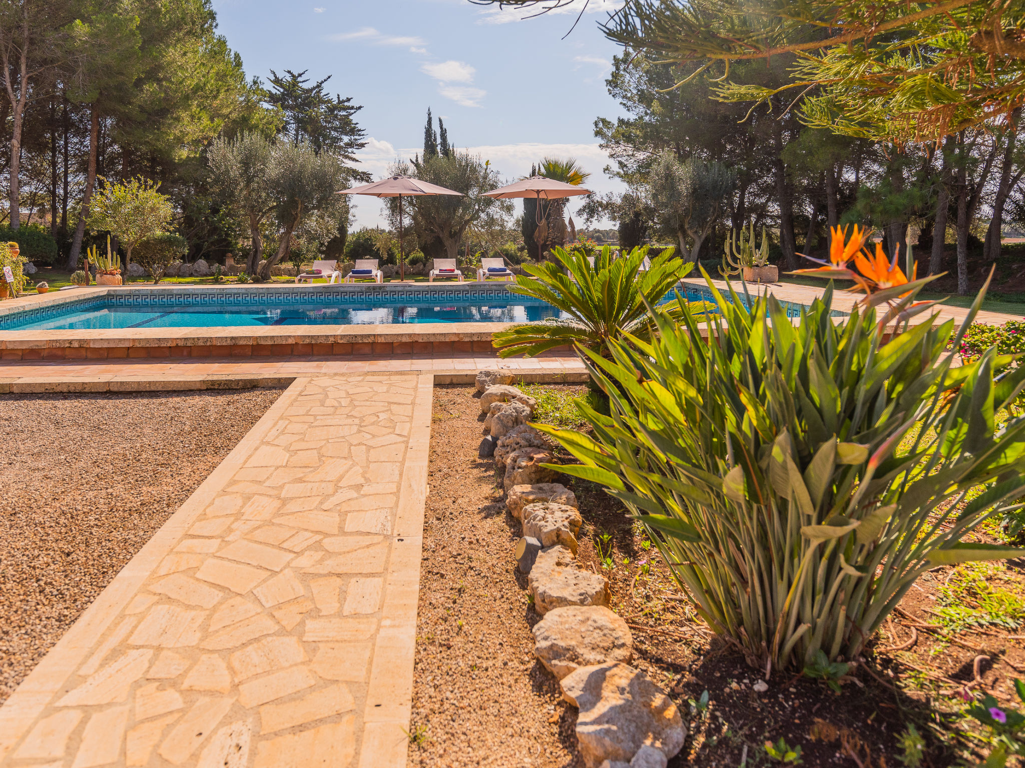 Photo 9 - 3 bedroom House in Campos with private pool and garden