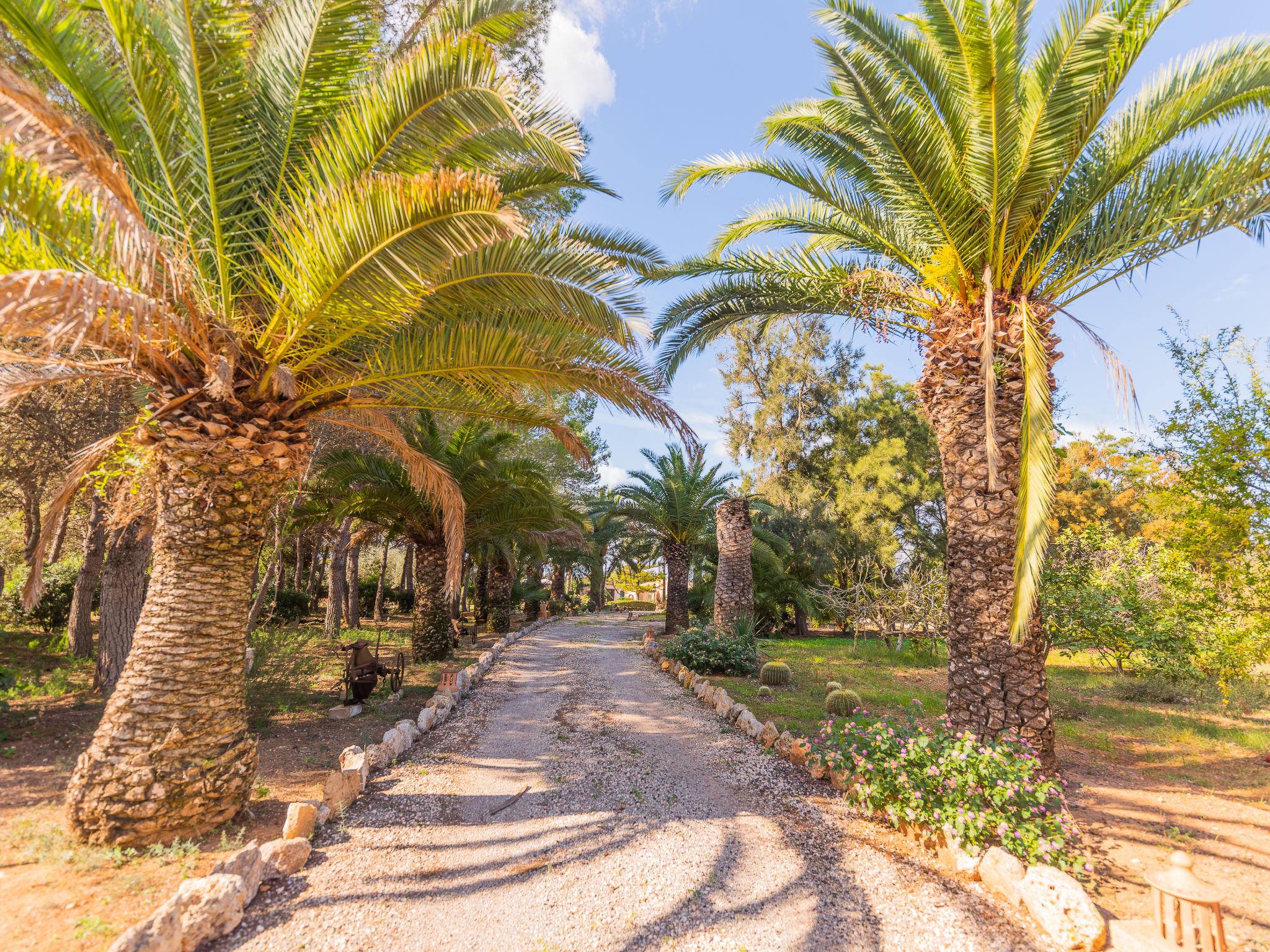 Foto 47 - Casa con 3 camere da letto a Campos con piscina privata e giardino