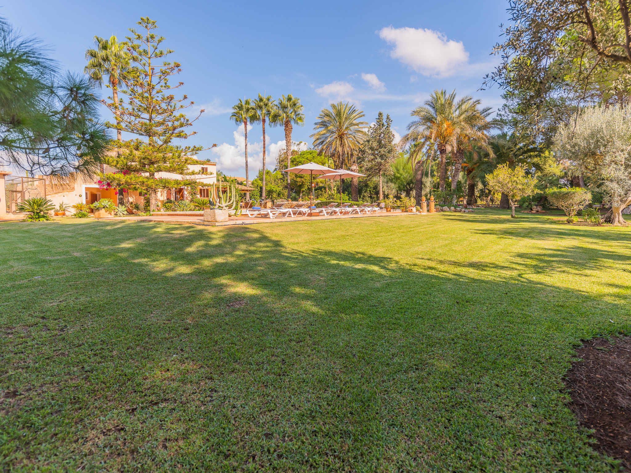 Photo 11 - Maison de 3 chambres à Campos avec piscine privée et jardin