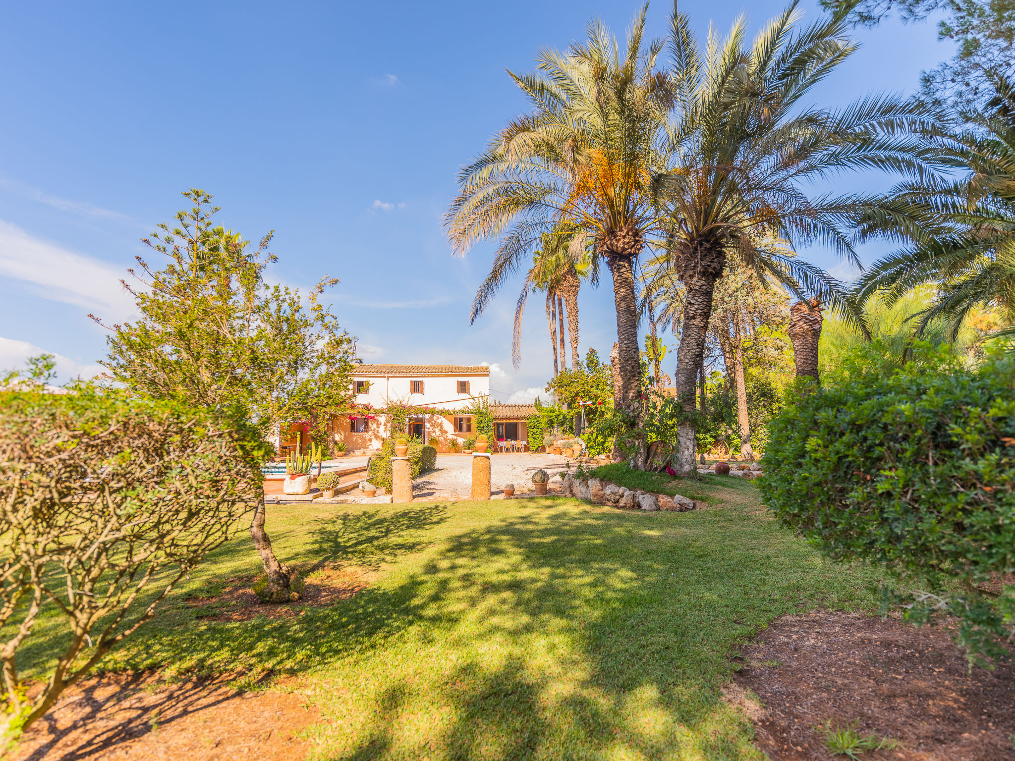 Foto 19 - Casa de 3 habitaciones en Campos con piscina privada y jardín