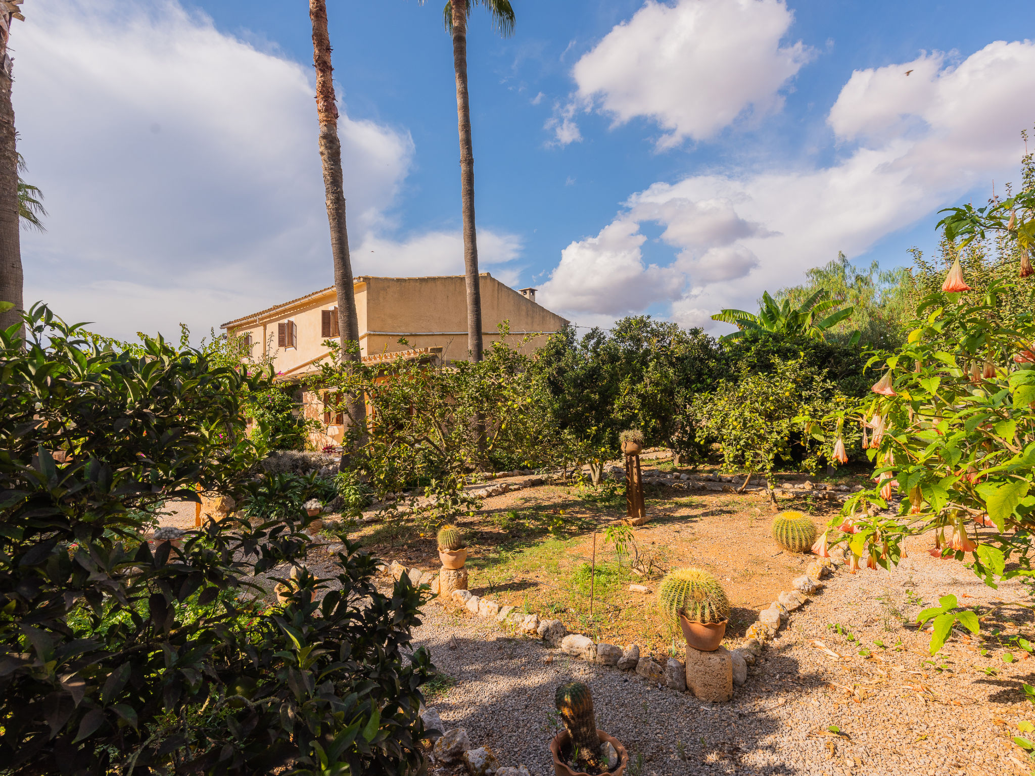 Foto 44 - Haus mit 3 Schlafzimmern in Campos mit privater pool und garten