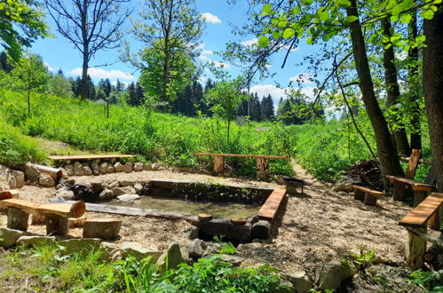 Photo 7 - Maison de 1 chambre à Spiegelau avec piscine et vues sur la montagne