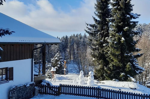 Photo 34 - 2 bedroom House in Spiegelau with private pool and mountain view