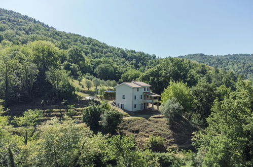 Foto 32 - Casa con 4 camere da letto a Lucca con piscina privata e giardino