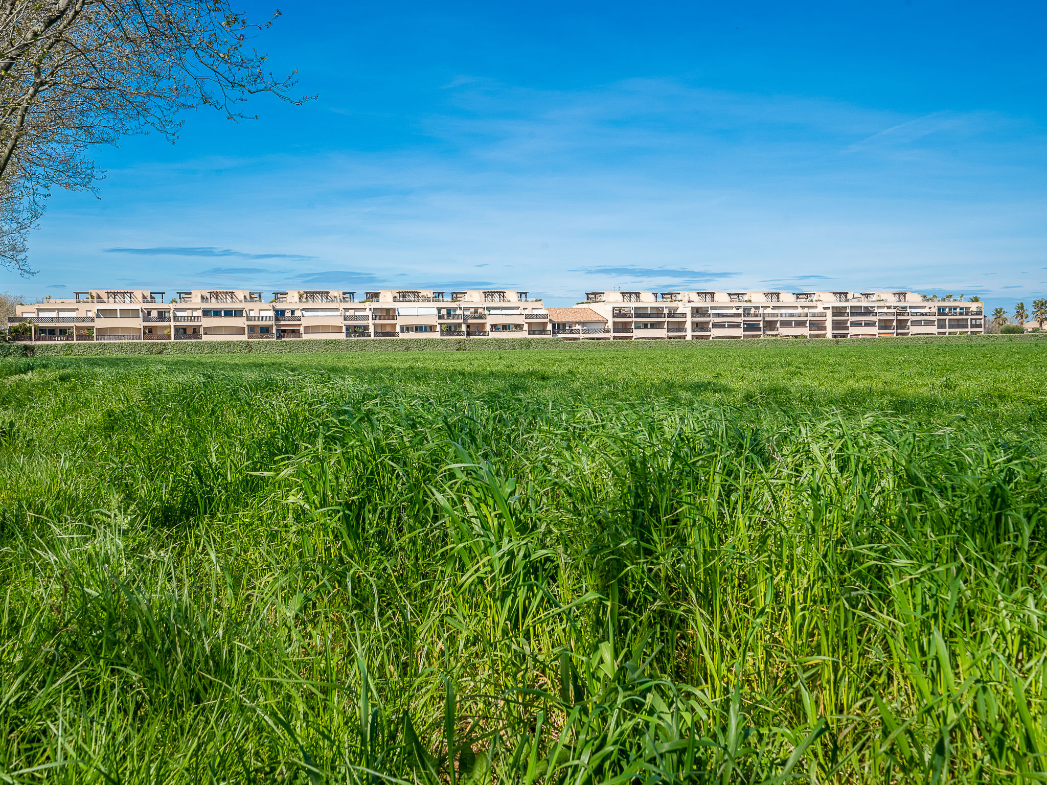 Photo 27 - 1 bedroom Apartment in Saint-Cyprien with swimming pool and sea view