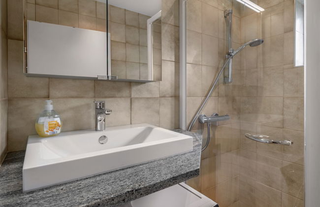 Apartamento de 1 quarto em Zell am See com terraço - Foto 5